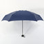 Compact Mini Umbrella - Zambeel