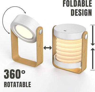 Compact Solar Charging Lamp - Zambeel