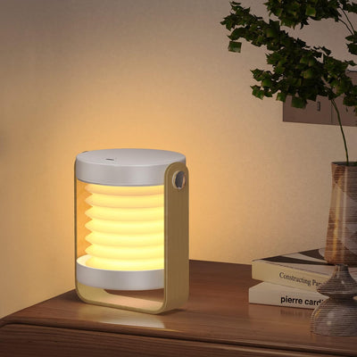 Compact Solar Charging Lamp - Zambeel