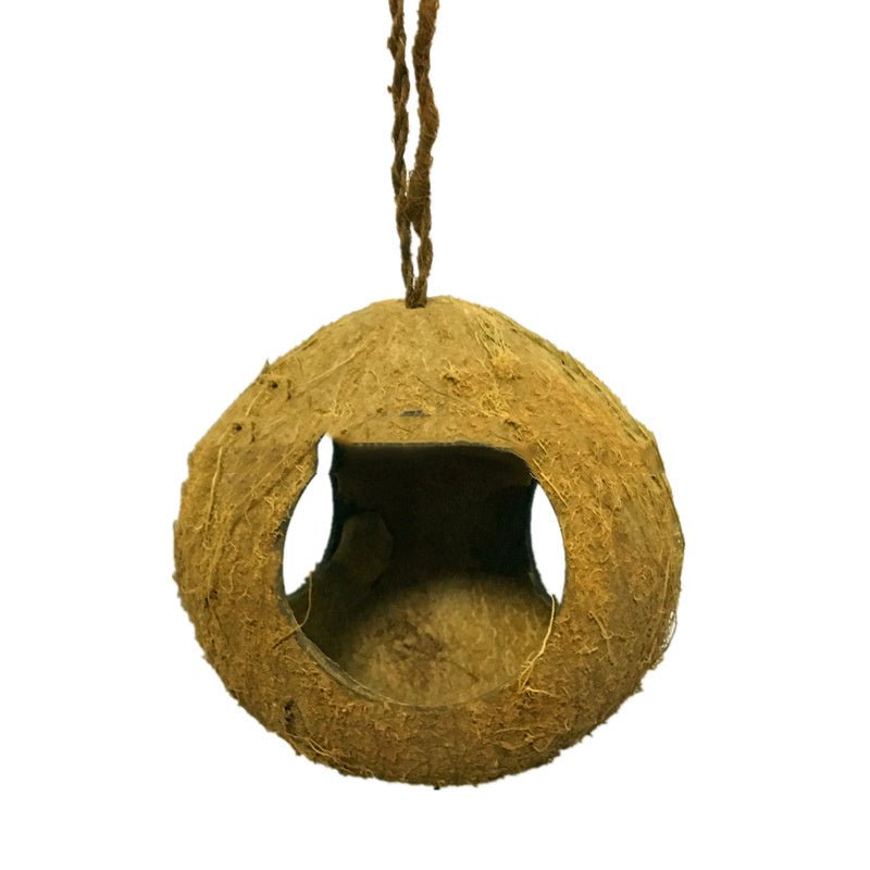 Creative Coconut Shell Bird Nest Feeder - Zambeel