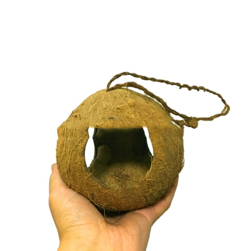 Creative Coconut Shell Bird Nest Feeder - Zambeel