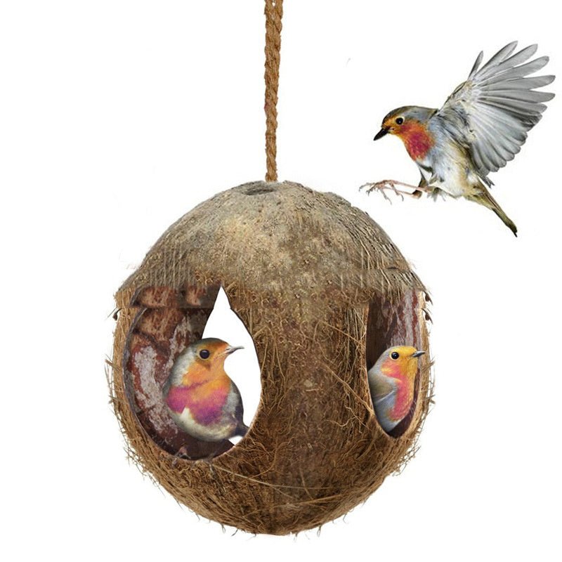 Creative Coconut Shell Bird Nest Feeder - Zambeel