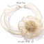 Creative Personalized Minority Fabric Three - dimensional Flower Lace Necklace Female Trend Transparent Mesh Clavicle Pendant - Zambeel