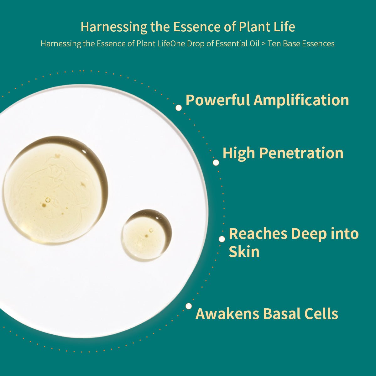 Crogooe - Wormwood Essential Oil,100 Pure Oil Blend ContainsMoroccan Argan Oil For Facial Skin, Hair, Body,Therapeutic Grade 10 ML - Zambeel