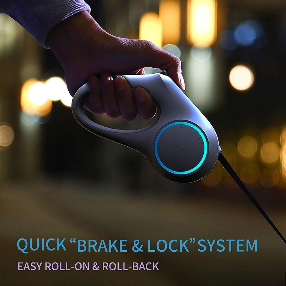 Dog Leash Retraction - Zambeel