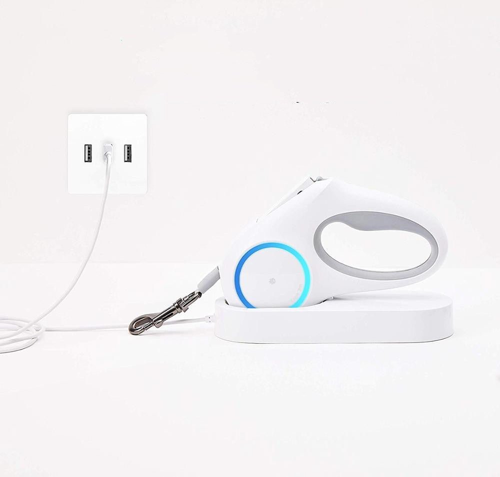 Dog Leash Retraction - Zambeel