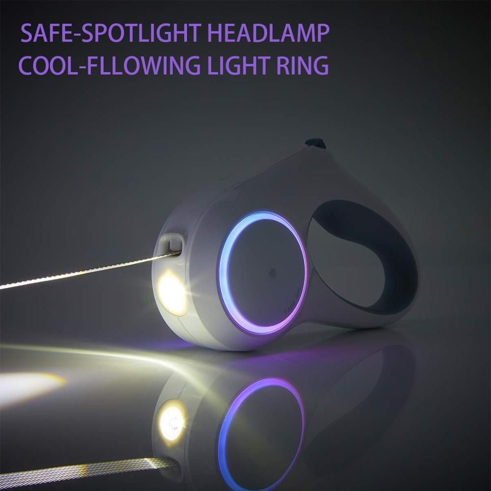 Dog Leash Retraction - Zambeel