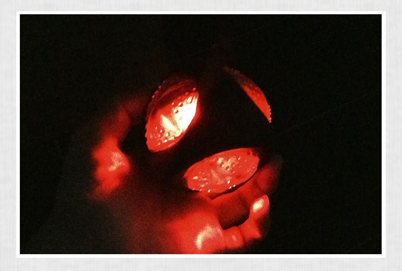 Dog Toy Ball - Zambeel