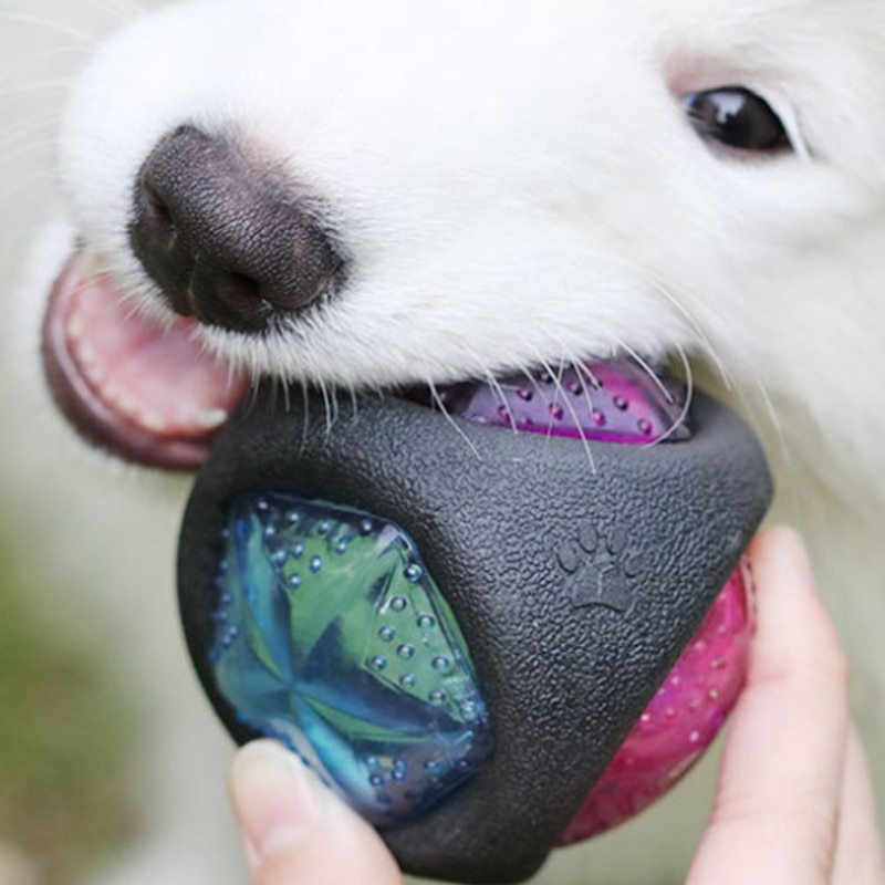 Dog Toy Ball - Zambeel