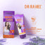 Dr Rashel - Breast Enlarging Cream - Zambeel