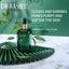 Dr Rashel - Green Tea Skin Care - Zambeel
