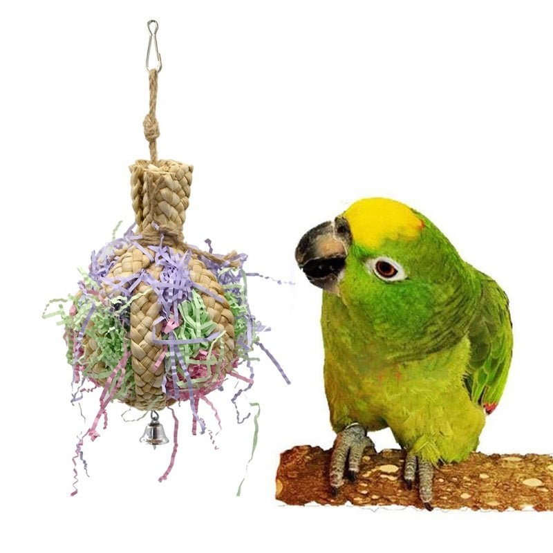 Drawing Straw Rope Toy Parrot Paper - Zambeel