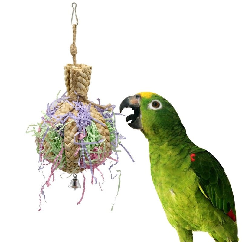 Drawing Straw Rope Toy Parrot Paper - Zambeel
