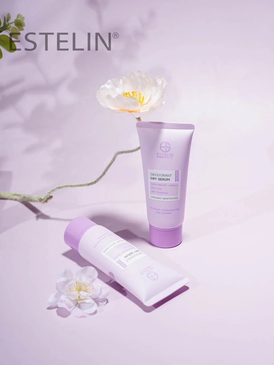 Dry Deodorant (Original) - Zambeel