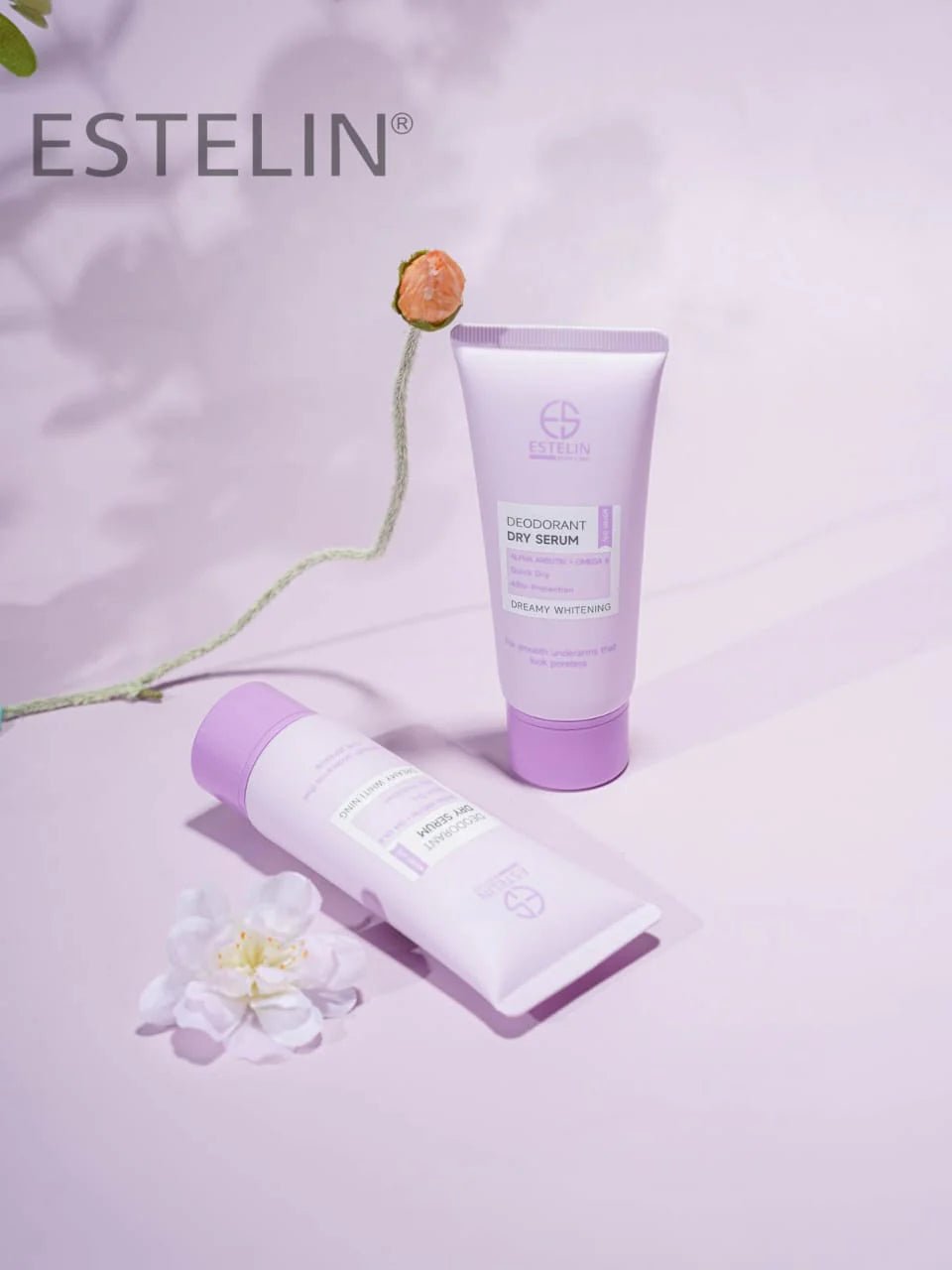 Dry Deodorant (Original) - Zambeel