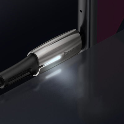 Dual Type - C Data Cable - Zambeel