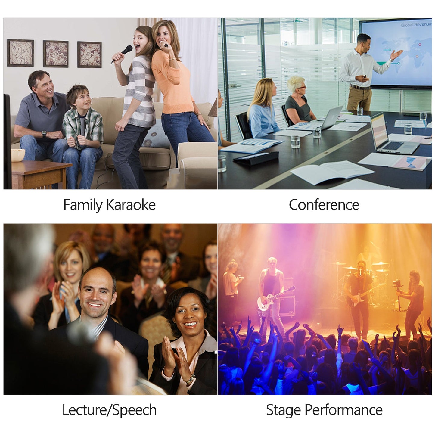 Dual - Use Professional Vocal Microphone - Zambeel