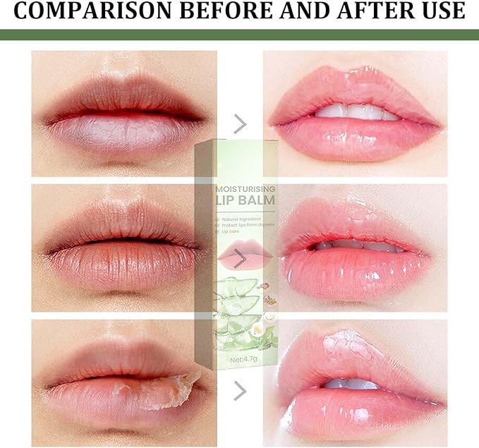 Eelhoe - Moisturizing Lip Balm (Original) - Zambeel