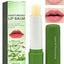 Eelhoe - Moisturizing Lip Balm (Original) - Zambeel