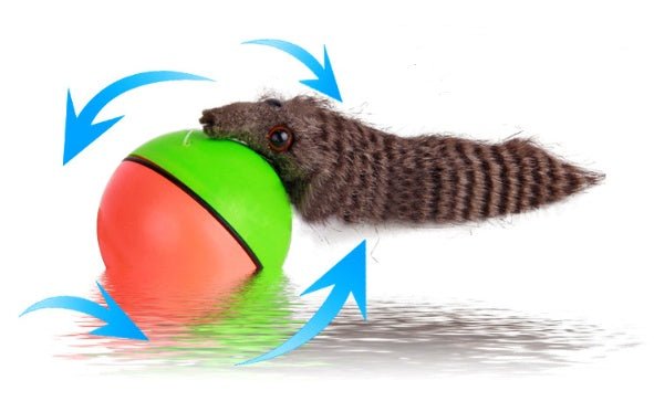 Electric Beaver Ball Water Cat Bath Play Water Toys - Zambeel