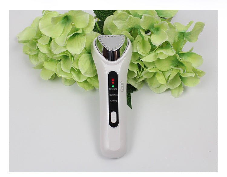 Electric Ultrasonic Facial Beauty Device - Zambeel