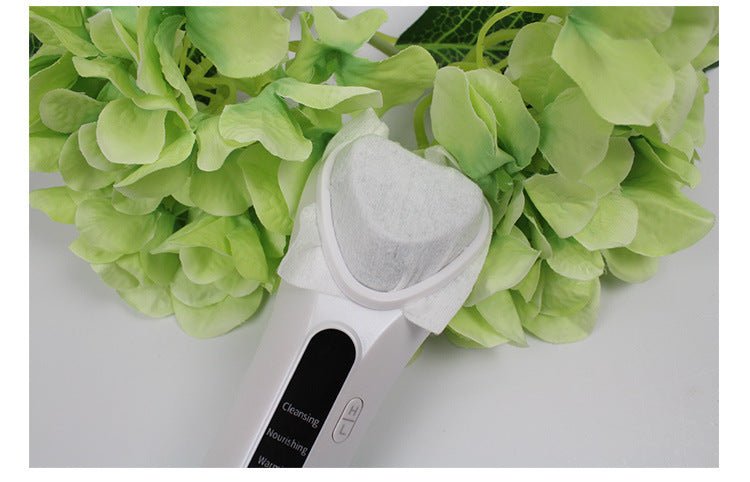 Electric Ultrasonic Facial Beauty Device - Zambeel