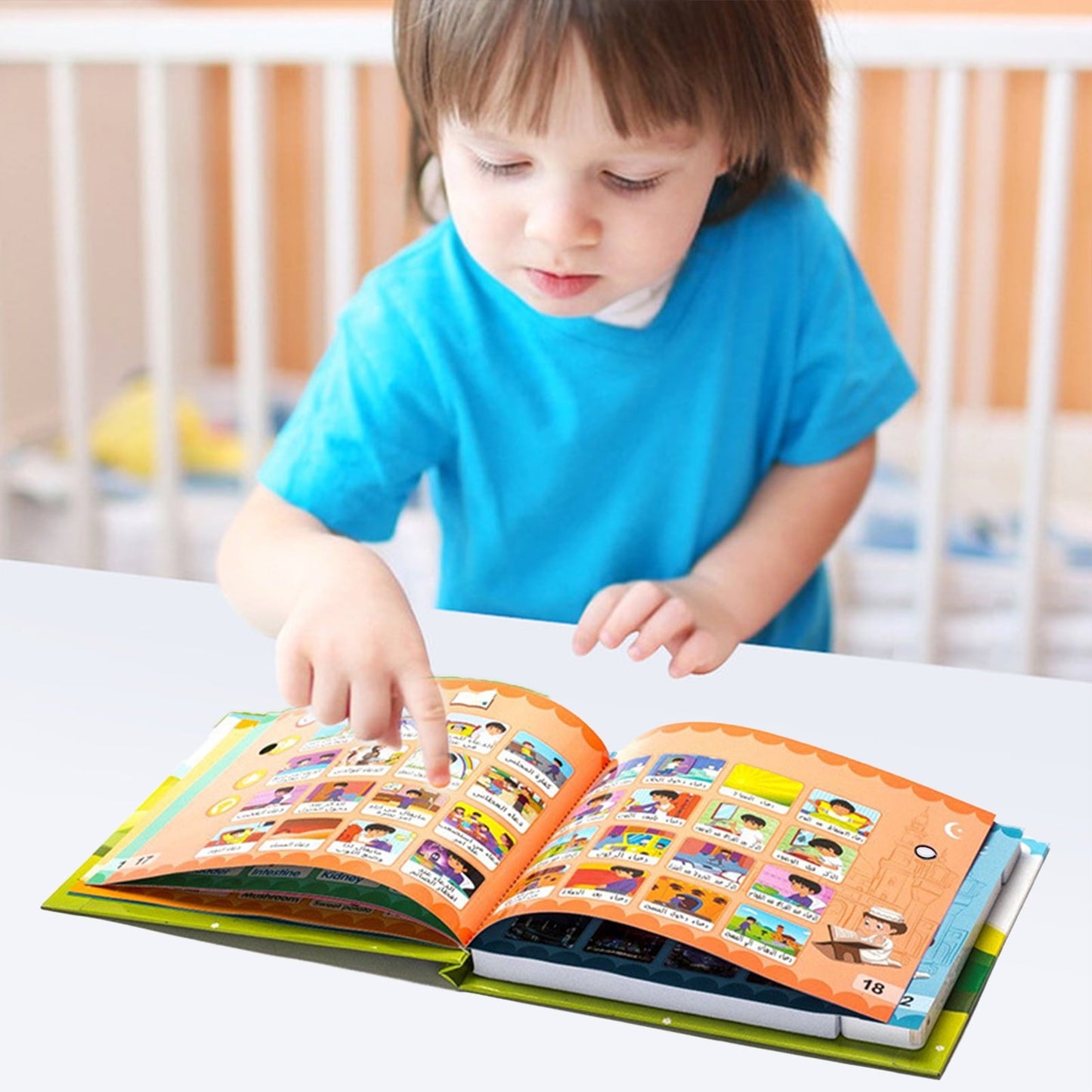 Electronic Educational Book - Zambeel