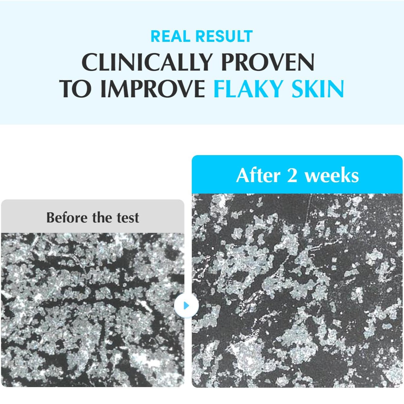 EQQUALBERRY - Swimming Pool Toner (Original) - Zambeel