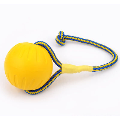 EVA Floating Pet Dog Training Ball Puppy Bite Resistant Ball With Rope Pet Training Ball Chew Toys For Pet Supplies - Zambeel