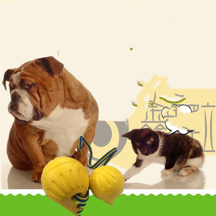 EVA Floating Pet Dog Training Ball Puppy Bite Resistant Ball With Rope Pet Training Ball Chew Toys For Pet Supplies - Zambeel