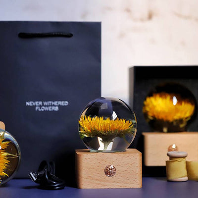 Everlasting Flower Sunflower Night Light Decoration Christmas Gift - Zambeel