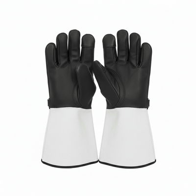 Falconry Gloves - Zambeel