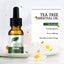 Firstsun Tea Tree Essential Oil - Zambeel