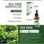 Firstsun Tea Tree Essential Oil - Zambeel