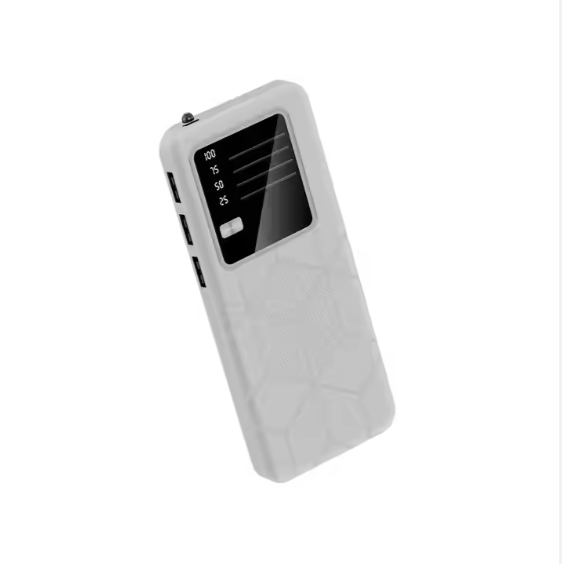 Flash Charge Power Bank - Zambeel