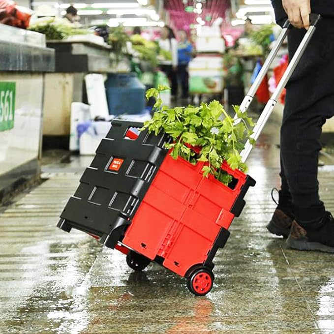 Folding Storage Box - Zambeel