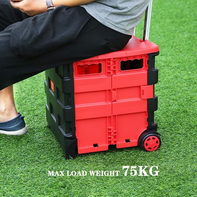 Folding Storage Box - Zambeel