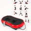 Full Body Vibration Fitness Platform © - Zambeel