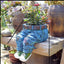 Garden Art Jeans Garden Decoration Flower Pot - Zambeel