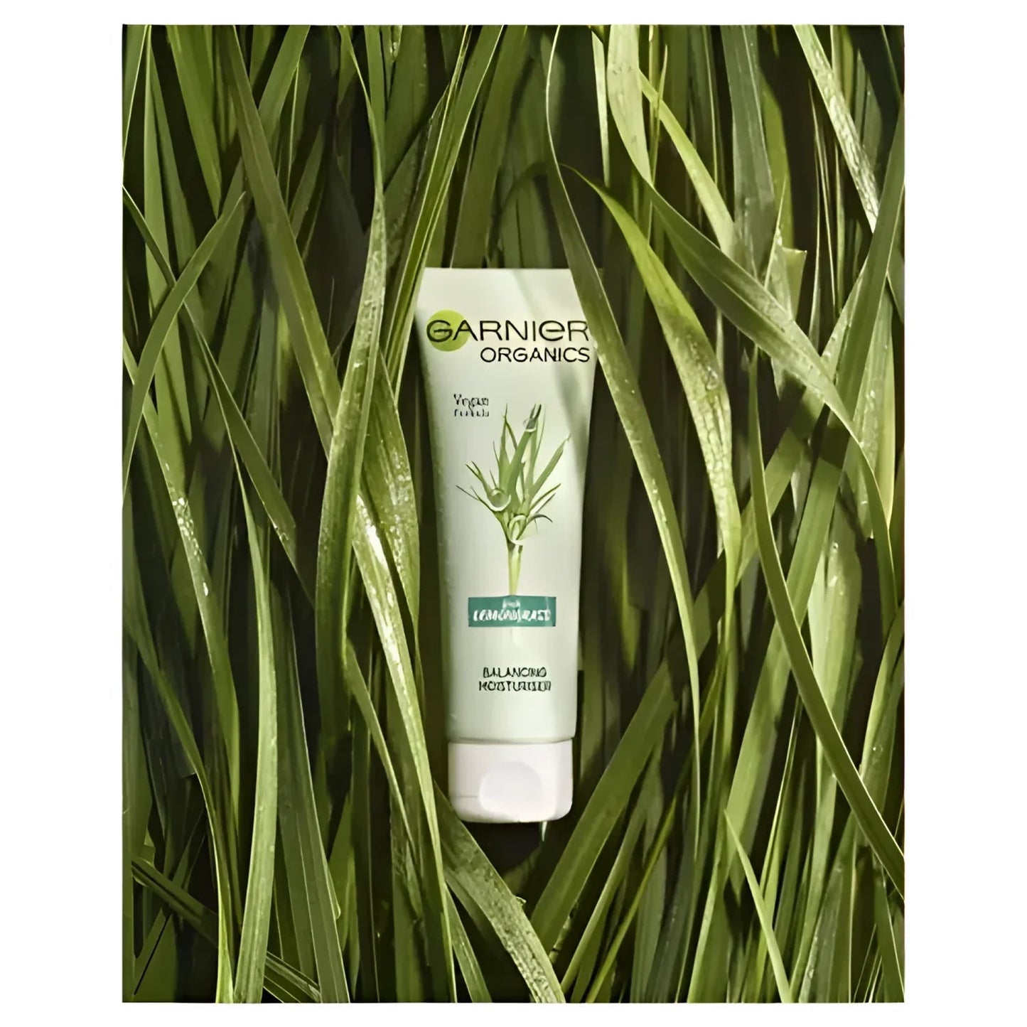 Garnier - Organics Lemongrass Balancing Moisturizer (Original) - Zambeel