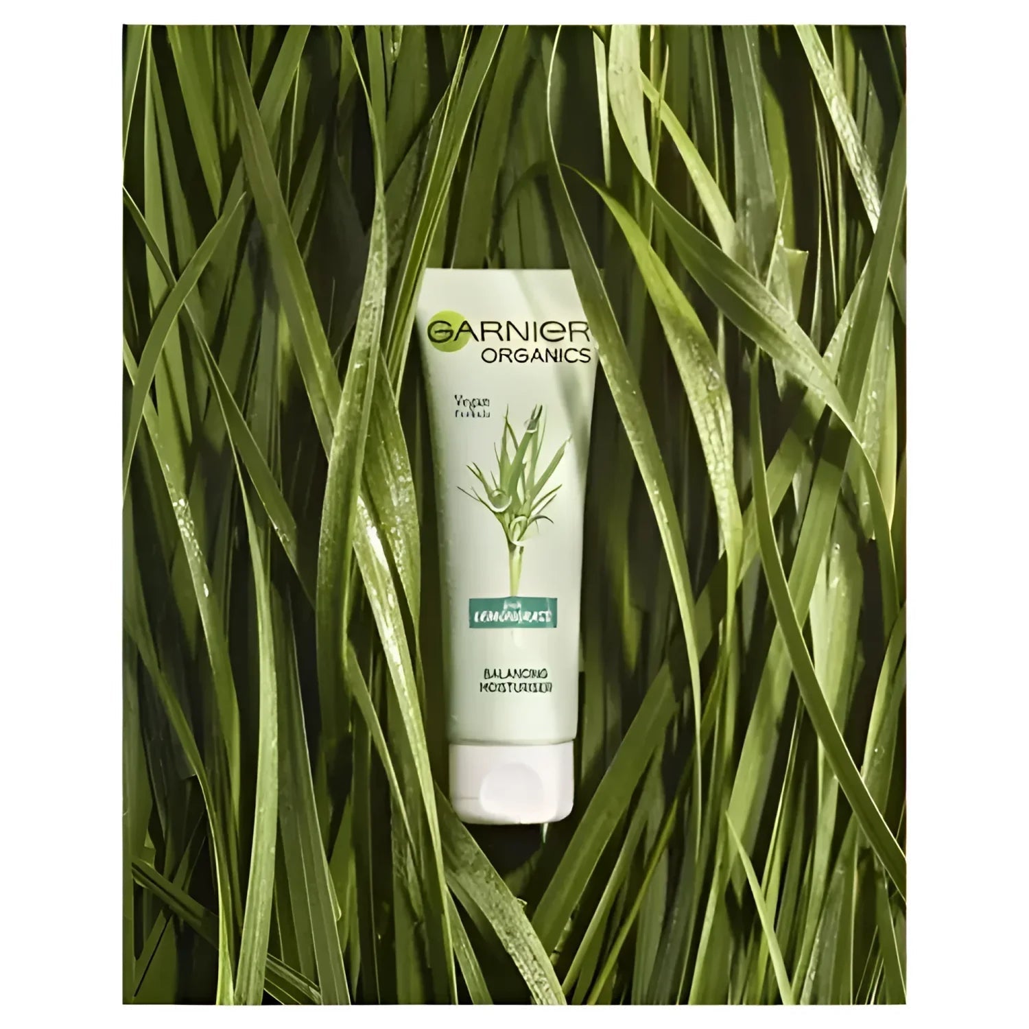 Garnier - Organics Lemongrass Balancing Moisturizer (Original) - Zambeel