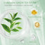 Green Tea Cleansing Blackhead Oil Control Acne Smear Mask - Zambeel