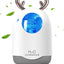 H2O Deer Antler LED Mini Humidifier - Zambeel