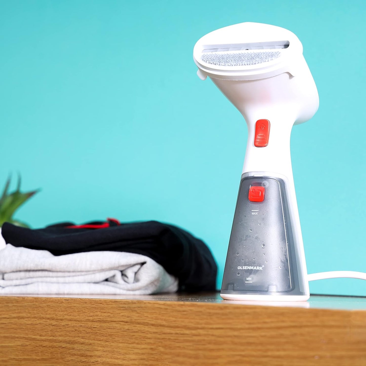 Handheld Garment Steamer - Zambeel