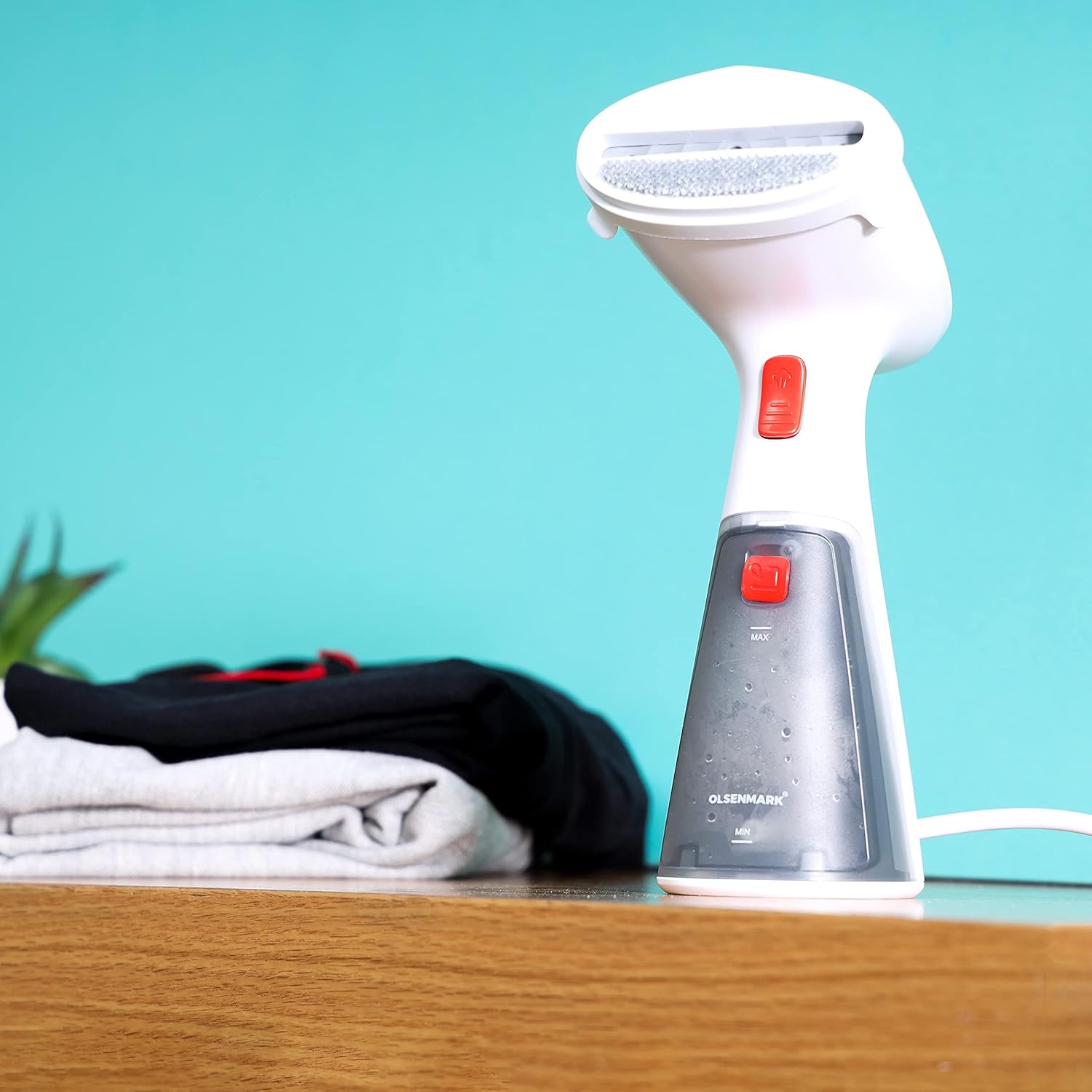 Handheld Garment Steamer - Zambeel