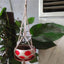 Hanging Pot Holder Rope Basket - Zambeel