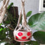 Hanging Pot Holder Rope Basket - Zambeel