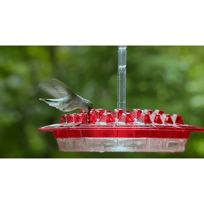 Hanging Red Hexagonal Hummingbird Feeder With Hook - Zambeel