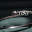 Heart Sparkling Love Bracelet - Zambeel