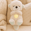 Heartbeat & Light - Up Belly Bear - Zambeel